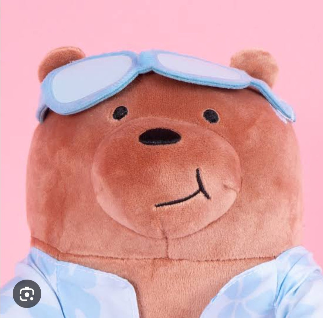 WE BARE BEARS SEASIDE MUSIC FESTIVAL 11in. Plush Toy(Surfing Grizz)